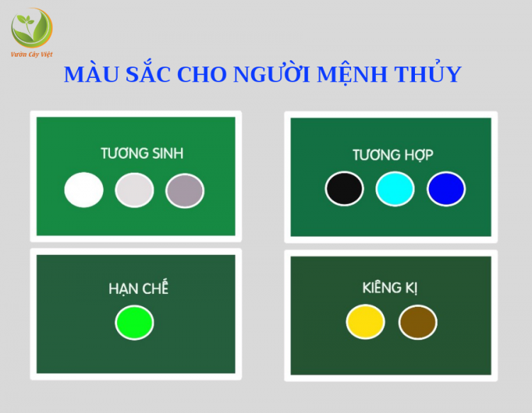 Màu sắc cho người mệnh thủy